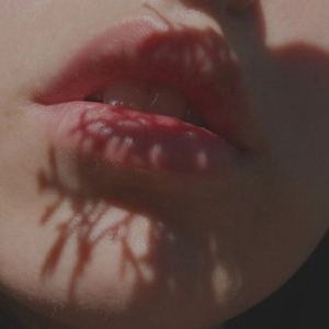 蓝莓破解版最新版本更新内容
