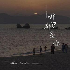 蓝莓破解版最新版本更新内容
