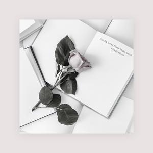 蓝莓破解版最新版本更新内容
