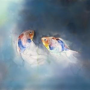 蓝莓破解版最新版本更新内容
