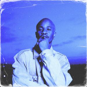 蓝莓破解版最新版本更新内容
